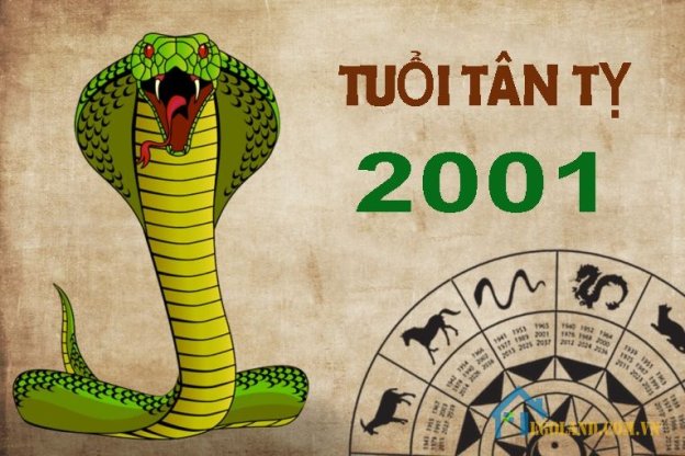 Tháng tính cách tuổi Tỵ 2001 theo tháng sinh